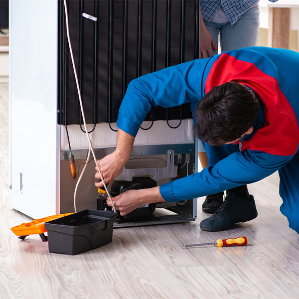 is it cost-effective to repair a refrigerator or replace it entirely in Lake Erie Beach